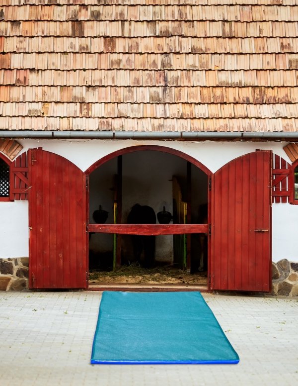 Mata dezynfekcyjna z zamkiem (85x60x4 cm)