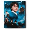 Malowanie Po Numerach Zestaw Mieszkańcy Hogwartu 40x50