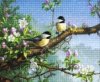 Haft Diamentowy Poranna Melodia 30x40 cm