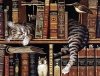 Haft Diamentowy Kot Bibliotekarz 55x75 cm K