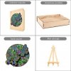 Puzzle Drewniane PIĘKNE MOTYLE S