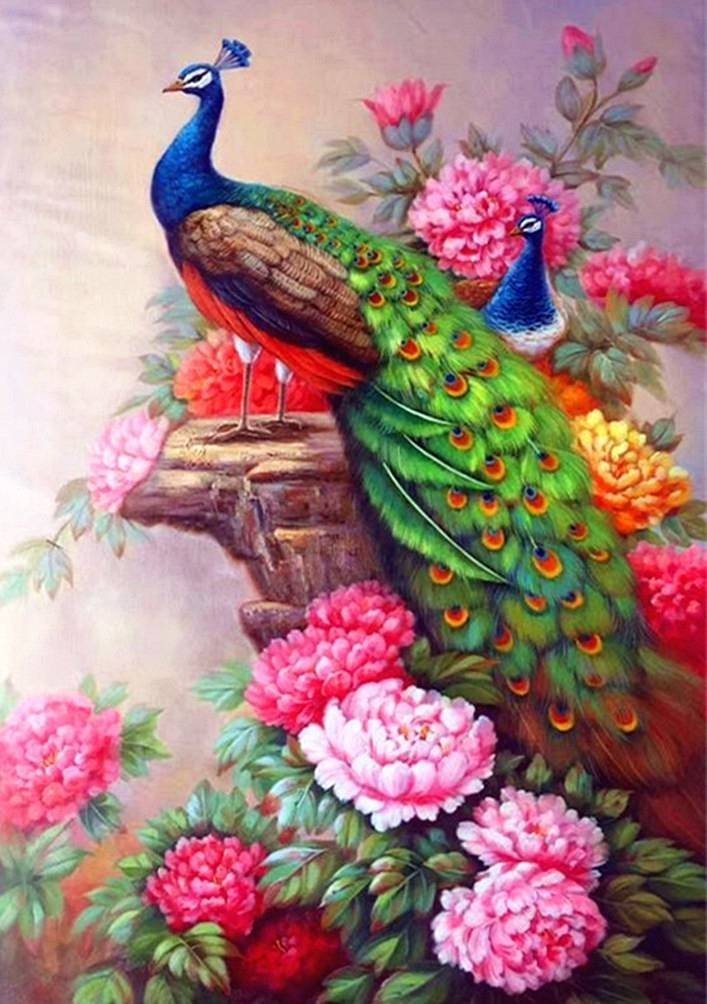 Haft Diamentowy Baśniowe Pawie 40x50 cm