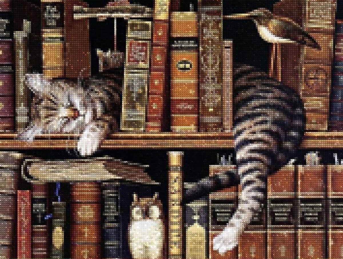 Haft Diamentowy Kot Bibliotekarz