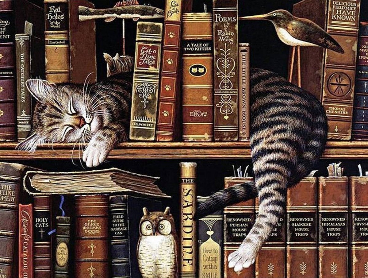Haft Diamentowy Kot Bibliotekarz 55x75 cm K