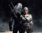 Malowanie Po Numerach Zestaw Wiedźmin Geralt i Ciri 40x50 