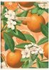 Zeszyt A4 60 k. kratka 70g Summer, Top-2000