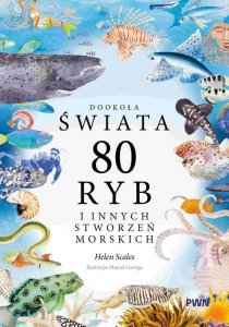 80 ryb i innych stworzeń morskich. Dookoła świata