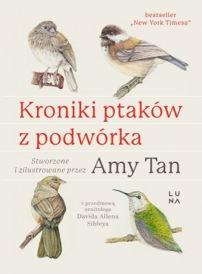 Kroniki ptaków z podwórka