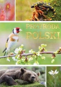 Przyroda Polski. Wydawnictwo Fenix