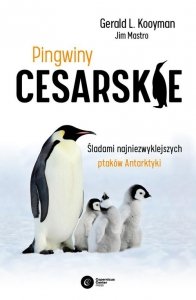 Pingwiny cesarskie