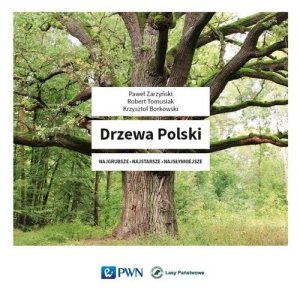 Drzewa Polski