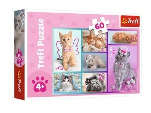 Puzzle Słodkie kociaki 60