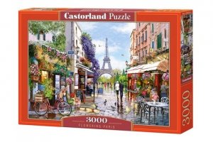 Puzzle 3000 Flowering Paris