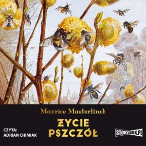 Życie pszczół - audiobook