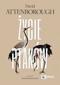 Życie ptaków