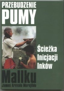 Przebudzenie Pumy. Ścieżka inicjacji Inków