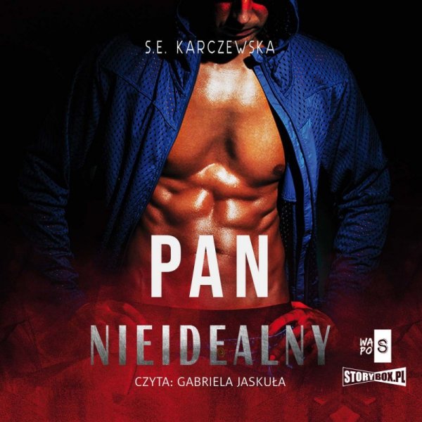 Pan Nieidealny -  audiobook