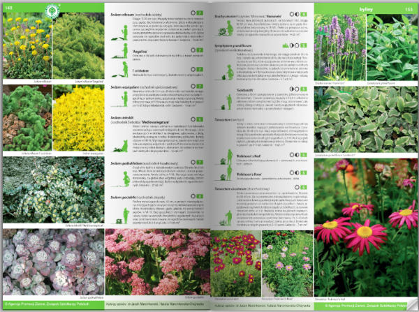 KATALOG BYLIN II Kwiaty, trawy i paprocie