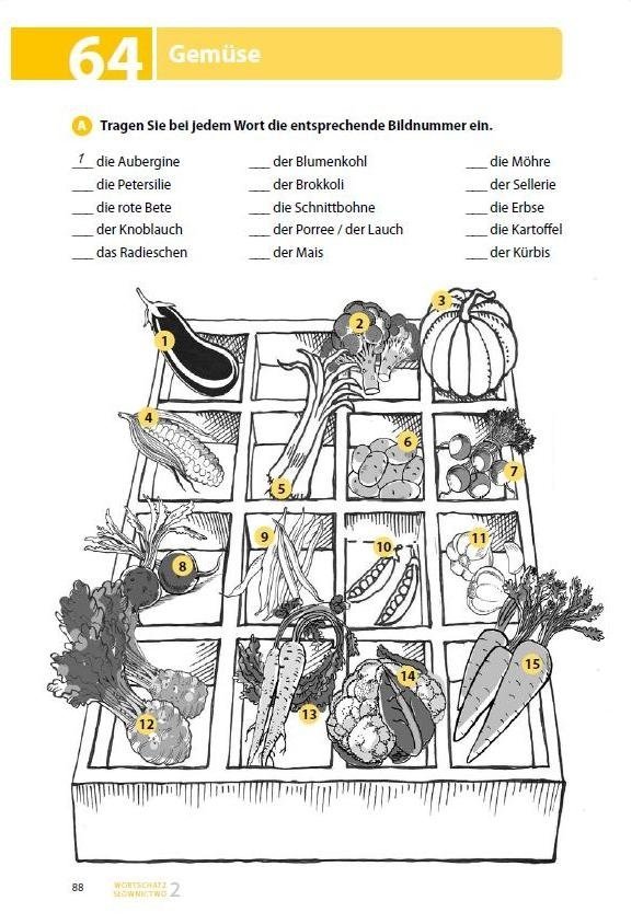 TESTE DEIN DEUTSCH. Wortschatz 2. Słownictwo 2 