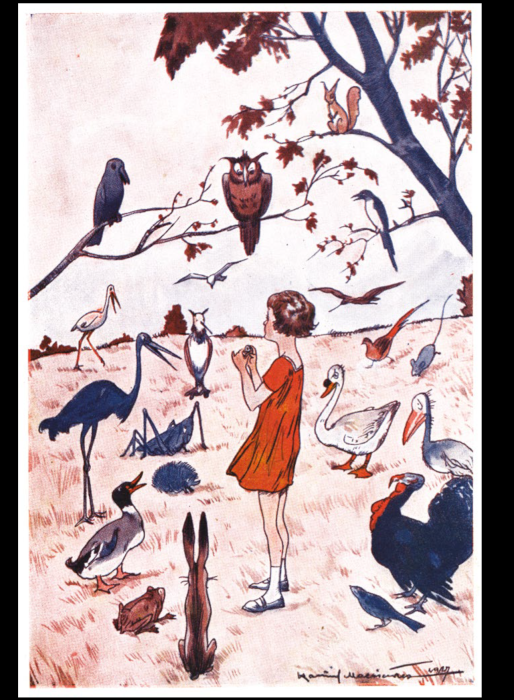 Captains of Illustration: 100 Years of Children’s Book from Poland