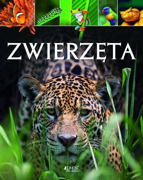 Zwierzęta. Jedność