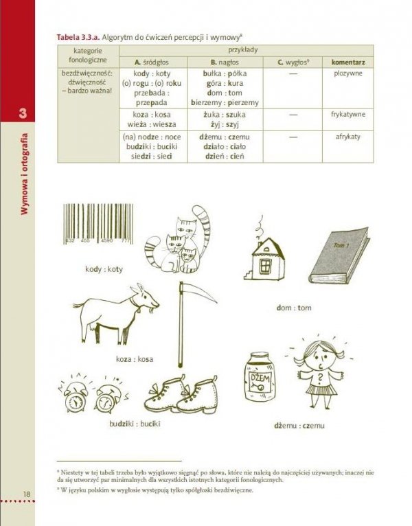 Odkrywamy język polski. Gramatyka dla uczących (się) języka polskiego jako obcego 