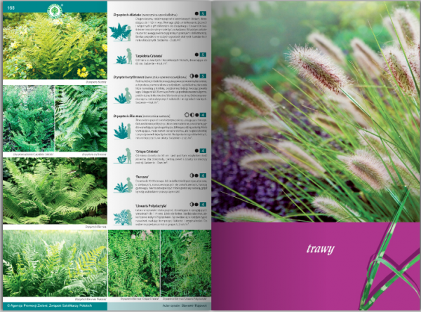 KATALOG BYLIN II Kwiaty, trawy i paprocie