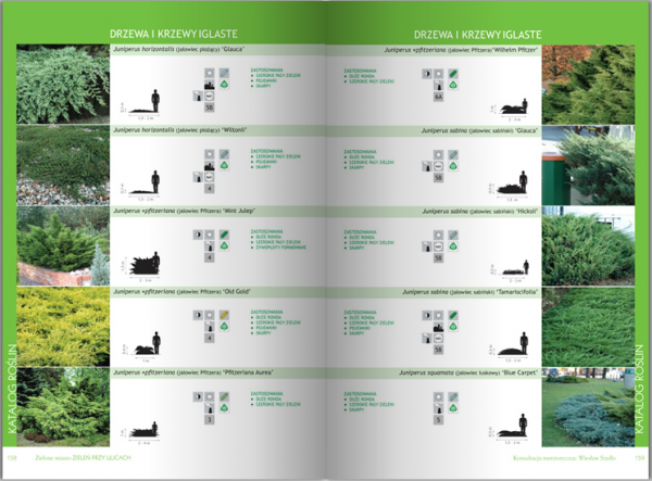 Zielone Miasto. Zieleń Przy Ulicach 