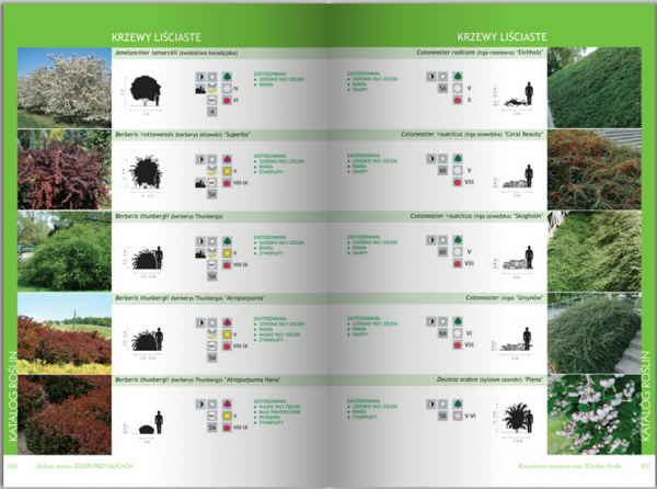 Zielone Miasto. Zieleń Przy Ulicach 