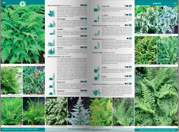 KATALOG BYLIN II Kwiaty, trawy i paprocie