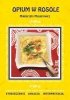 Opium w rosole Małgorzaty Musierowicz. Streszczenie, analiza, interpretacja (EBOOK) 