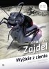 Wyjście z cienia - audiobook 