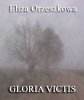 Gloria Victis - audiobook 