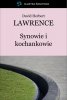 Synowie i kochankowie (EBOOK) 