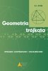 Geometria trójkąta 