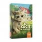O Kocie w kłopocie. Nowe wydanie 