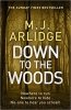 Down to the Woods: DI Helen Grace 8 