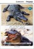 CDEIR A1 Crocs and Gators OOP 