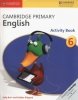 Cambridge Primary English 6 Activity Book 