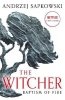 Baptism of Fire. The Witcher. Book 3 