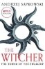The Tower of the Swallow. The Witcher. Book 4 