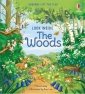 Look Inside the Woods 