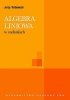 Algebra liniowa w zadaniach 