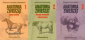 Anatomia zwierząt. Tomy 1-3 