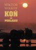 Koń na Podlasiu 