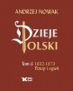 Dzieje Polski. Tom 6. Potop i ogień 1632-1673 