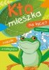 Kto mieszka na łące? Kolorowanki, zagadki z naklejkami 