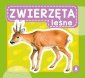 Zwierzęta leśne. Wydawnictwo Skrzat 