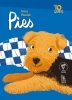 Pies 