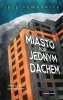 Miasto pod jednym dachem 